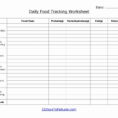 Diabetes Food Log Spreadsheet Inside Diabetes Spreadsheet Log Sheet Monthly Best Of Awesome S Free