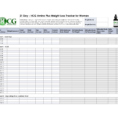 Diet Excel Spreadsheet For Diet Excelheet Food Log Template Natural Buff Dog Download Tnbb Plan