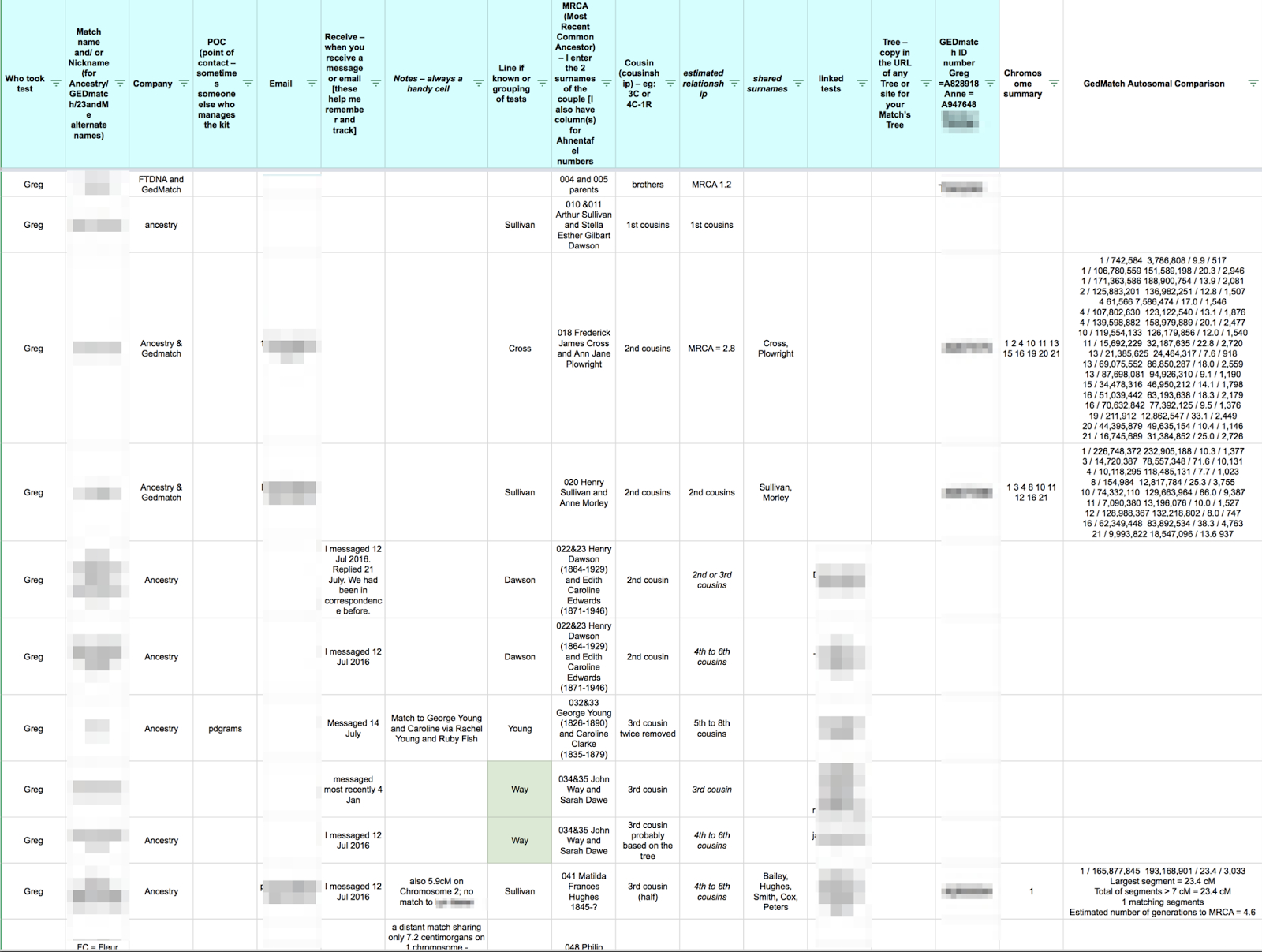 Dna Match Spreadsheet pertaining to Dna Testing Results One Year On  Anne's Family History