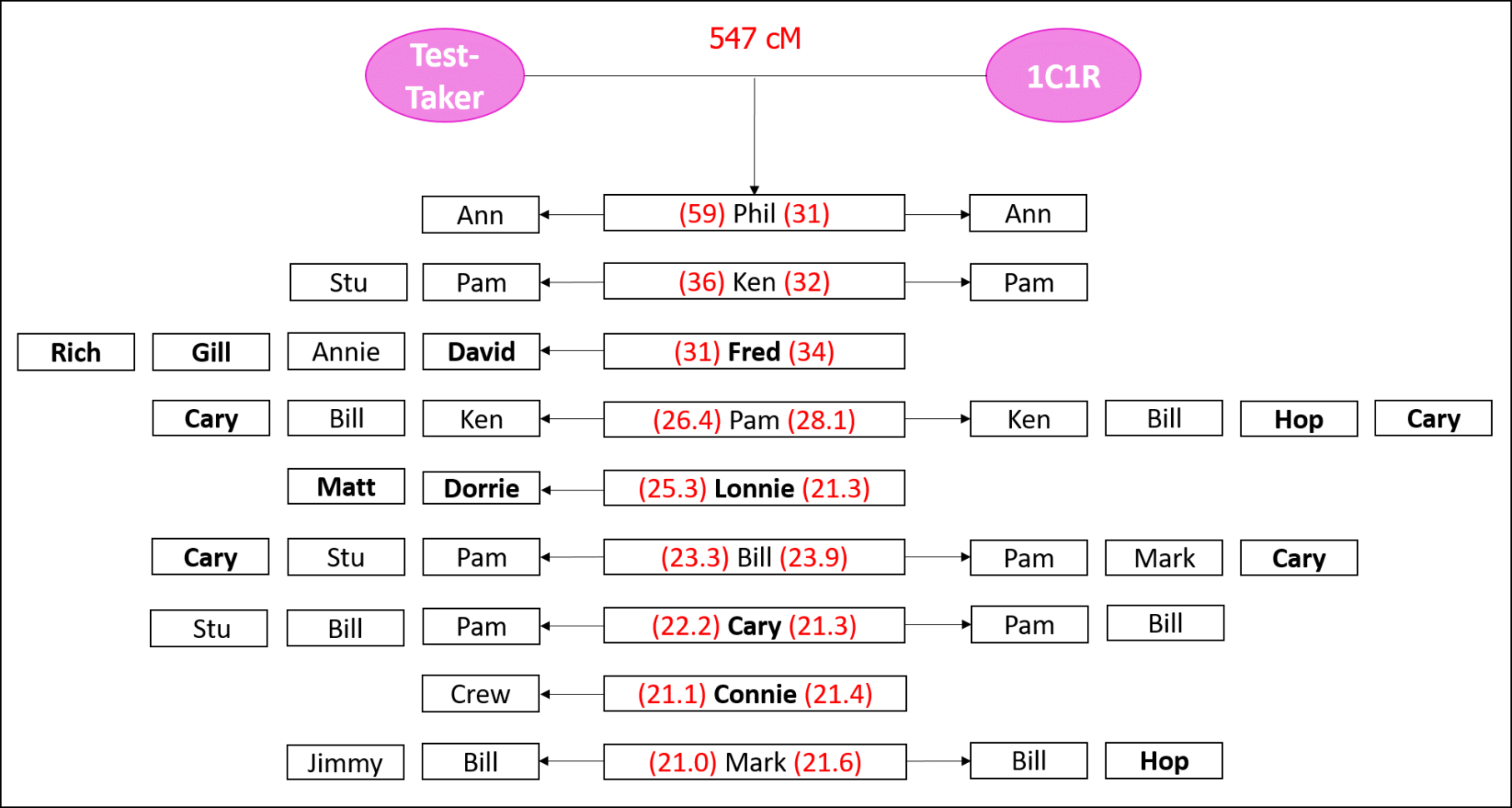 Dna Match Spreadsheet Throughout Clustering Shared Matches  The Genetic Genealogist Dna Match Spreadsheet Throughout Clustering Shared Matches  The Genetic Genealogist