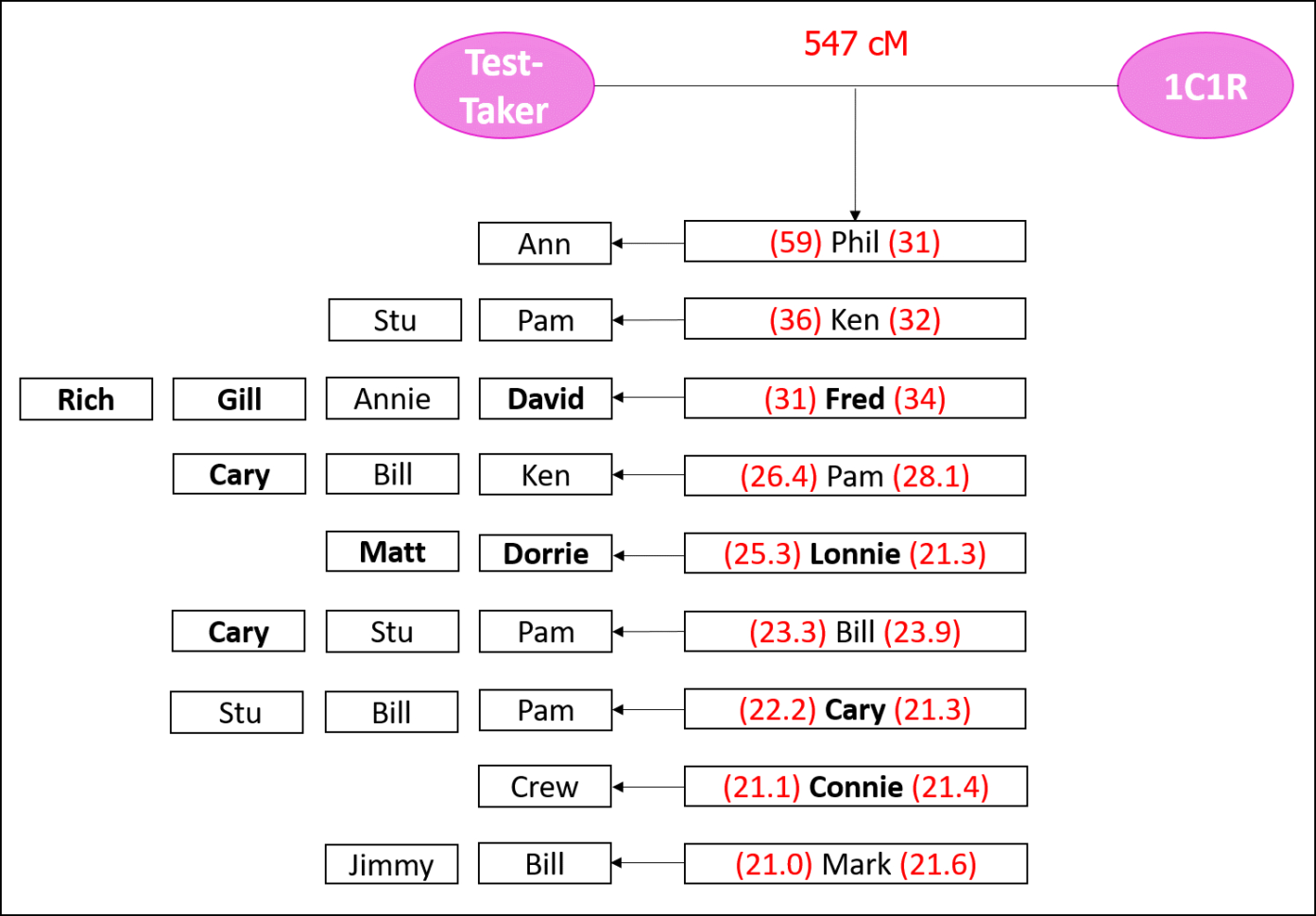 Dna Match Spreadsheet With Regard To Clustering Shared Matches  The Genetic Genealogist Dna Match Spreadsheet With Regard To Clustering Shared Matches  The Genetic Genealogist