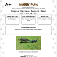 Dog Walking Excel Spreadsheet For Doggiedashboard  Free Dog Daycare  Kennel Boarding Software