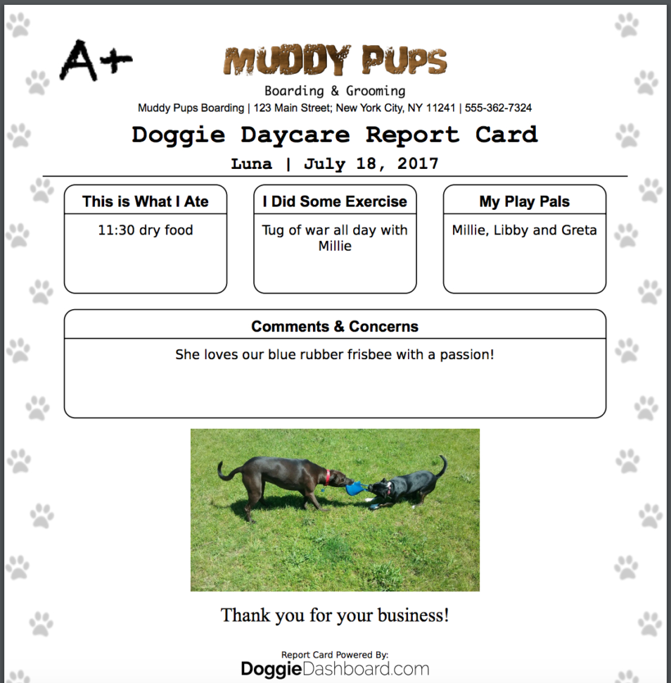 Dog Walking Excel Spreadsheet For Doggiedashboard Free Dog Daycare Kennel Boarding Software Dog Walking Excel Spreadsheet For Doggiedashboard Free Dog Daycare Kennel Boarding Software