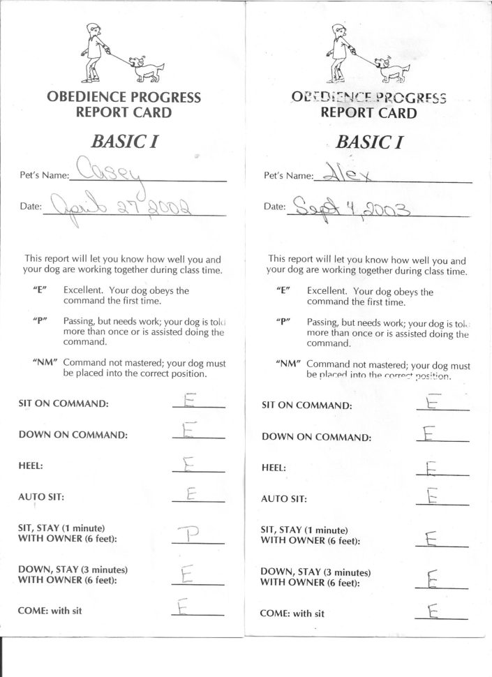 Dog Walking Excel Spreadsheet In Dog Walking Report Card Template Casey N Alex Front Page  Askoverflow