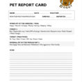 Dog Walking Excel Spreadsheet Intended For Dogking Report Card Template Flyer Fr On Animals Pet Care Marketing