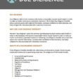 Due Diligence Spreadsheet Throughout Sample Of Due Diligence Report Small Business Tools Enmast Library