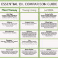 Essential Oil Inventory Spreadsheet Throughout New Car Comparison Spreadsheet And How To Store Essential Oils What