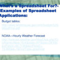 Examples Of Spreadsheet Programs Within Ppt  What's A Spreadsheet For?examples Of Spreadsheet