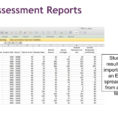 Excel Spreadsheet Assessment In Assessing Information Literacy Skills For Targeted Instruction  Ppt
