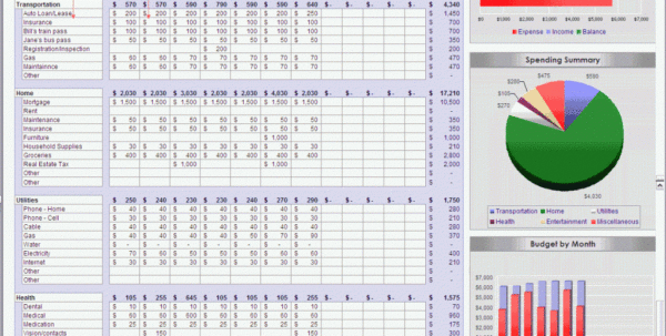 Excel Spreadsheet For Bill Tracking Spreadsheet Downloa excel ...