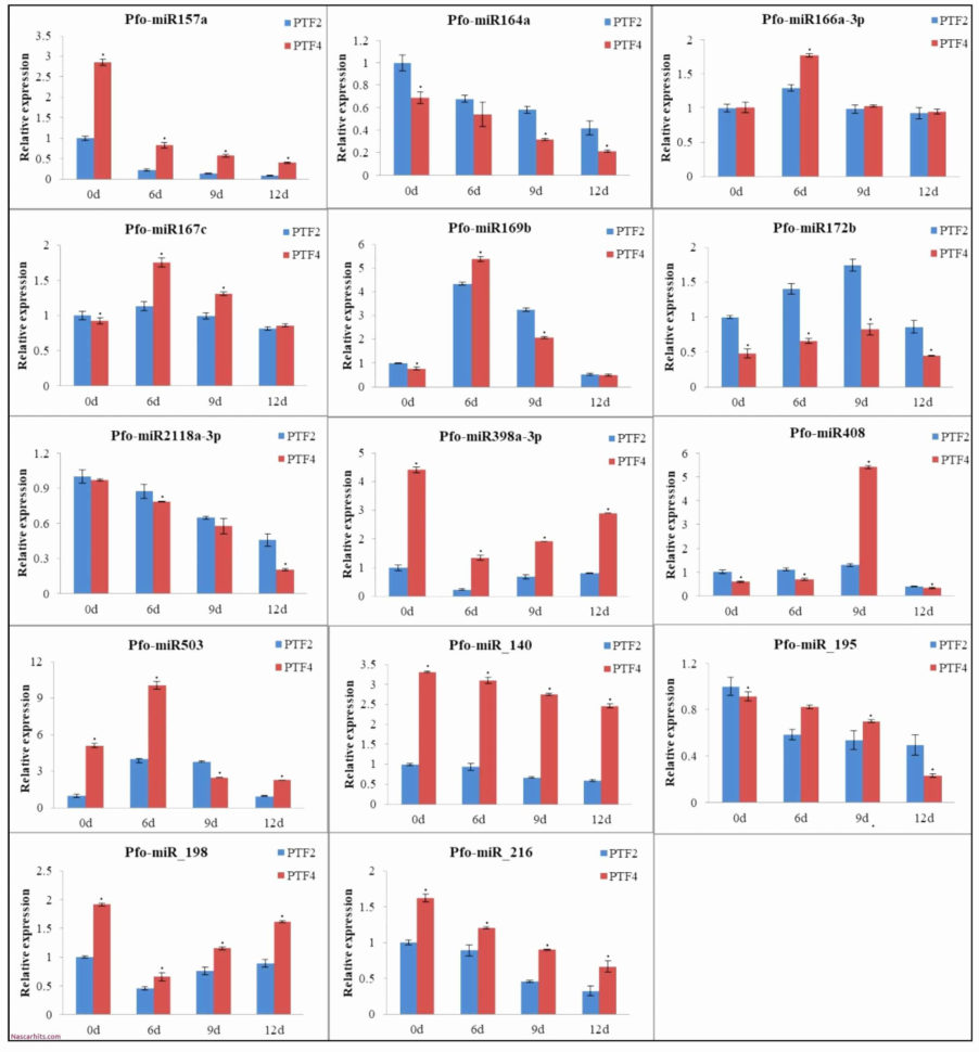 Excel Spreadsheet For Photographers With Photography Workflow Spreadsheet Together With Excel Spreadsheet