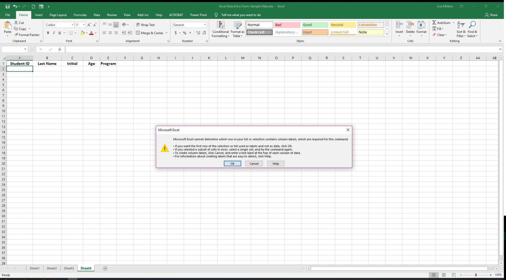 Excel Spreadsheet Help With Excel Data Entry Form Tutorial
