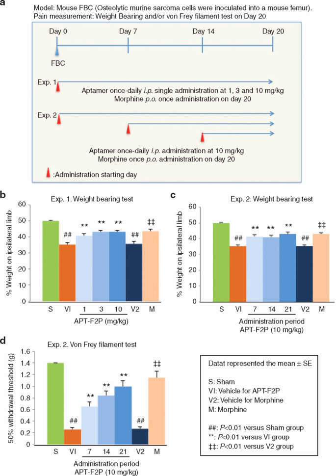 Excel Spreadsheet Validation With Regard To Validation Of Excel Spreadsheets Gmp Luxury Validation Excel