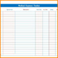 Expenditure Spreadsheet Throughout 10+ Daily Expenditure Spreadsheet  Credit Spreadsheet