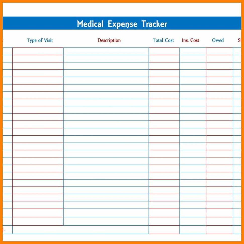Expenditure Spreadsheet Throughout 10+ Daily Expenditure Spreadsheet  Credit Spreadsheet