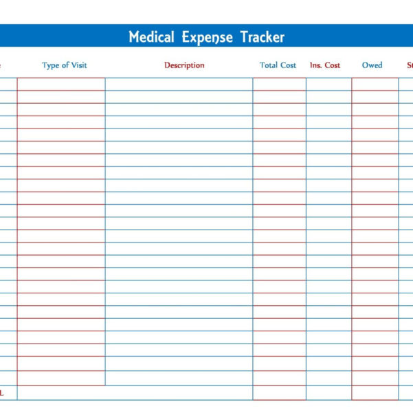 annual expense and income tracker 2019 excel