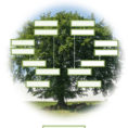 Family Tree Spreadsheet Free In 50+ Free Family Tree Templates Word, Excel, Pdf  Template Lab