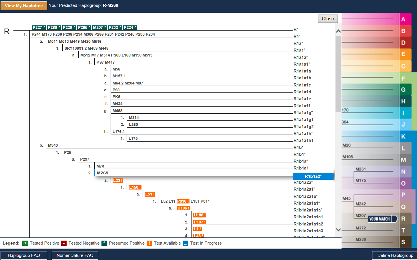 Family Tree Spreadsheet Intended For Simple Family Tree Templates  Homebiz4U2Profit