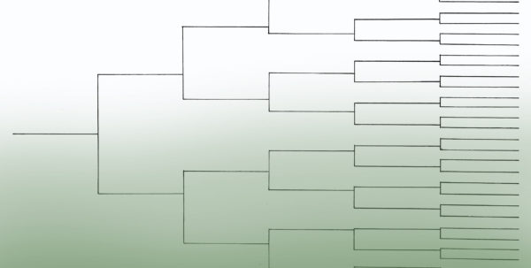 Family Tree Spreadsheet Template Google Spreadshee family tree excel ...