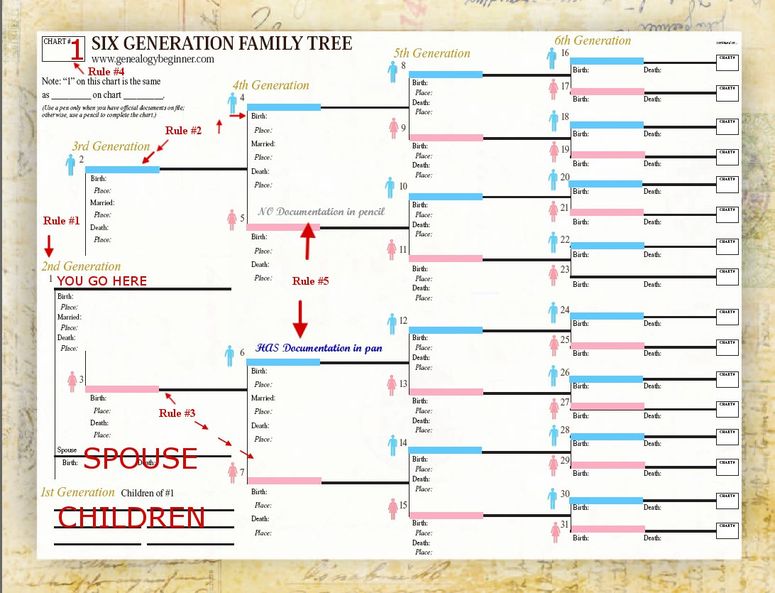 Family Tree Spreadsheet Template Within Genealogy Spreadsheet Template 