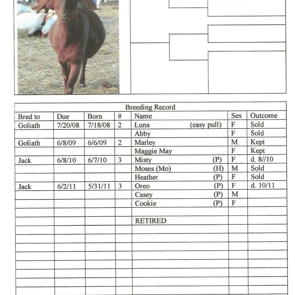 Farm Expense Spreadsheet Excel Intended For Spreadsheets For Farm Record Keeping And Farm Expense Spreadsheet