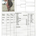 Farm Expenses Spreadsheet For Spreadsheets For Farm Record Keeping And Farm Expense Spreadsheet