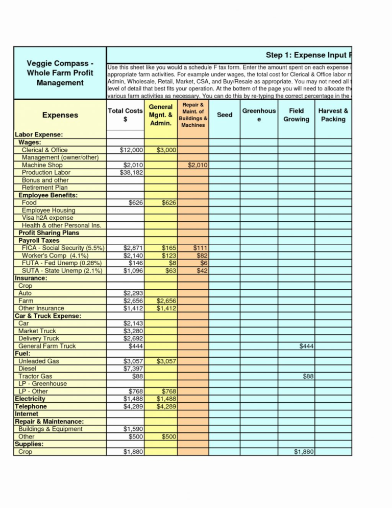 free income and expense template