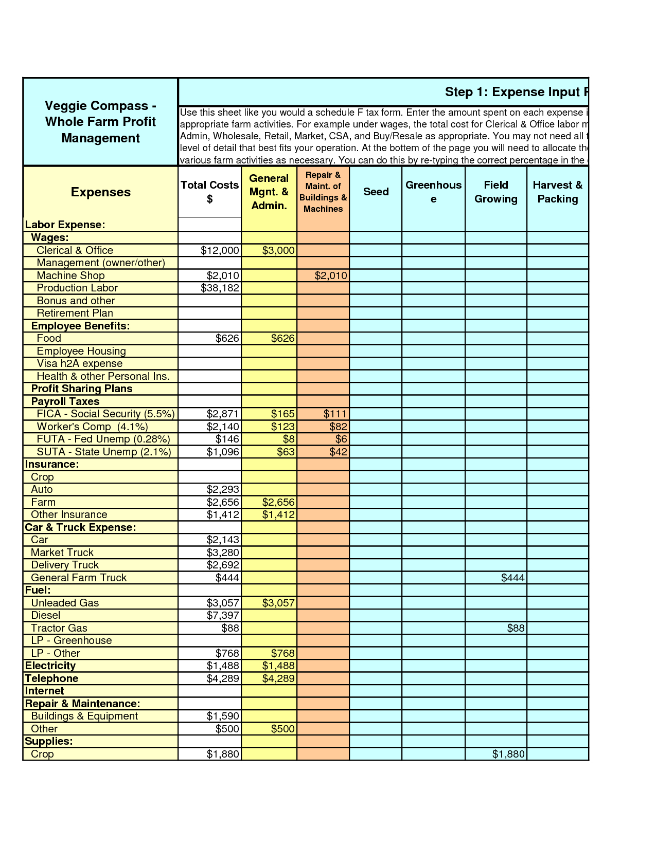 Financial Spreadsheet Example Within Farm Expenses Spreadsheet  Charlotte Clergy Coalition