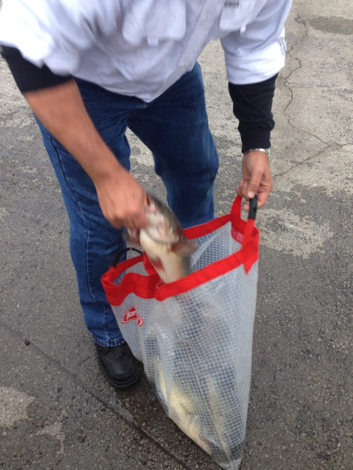 Fishing Tournament Weigh In Spreadsheet For Fishing Tournament Weigh In Spreadsheet – Spreadsheet Collections