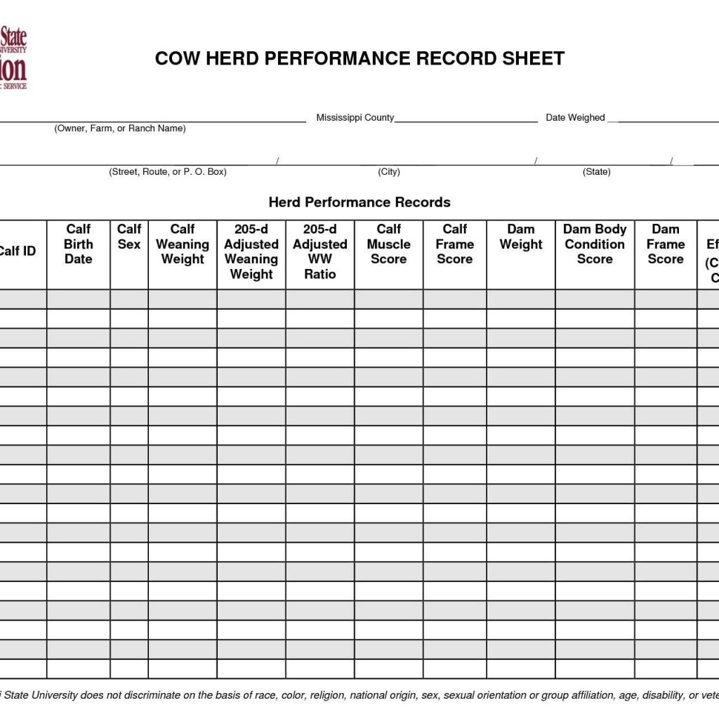 Free Cattle Record Keeping Spreadsheet Throughout Farm Bookkeeping