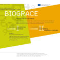 Ghg Calculation Spreadsheet Inside Biograce  Ifeu  Institut Für Energie Und Umweltforschung