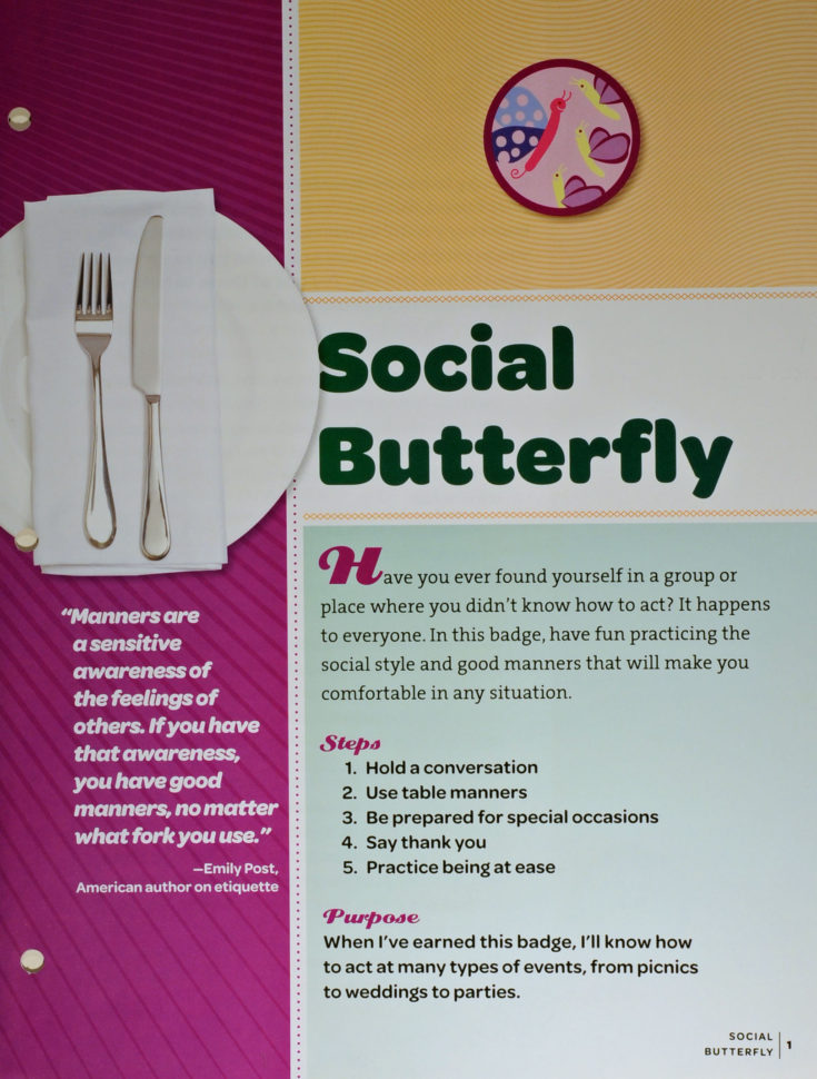 Girl Scout Troop Finance Spreadsheet Inside Girl Scouts Of Rhode Island