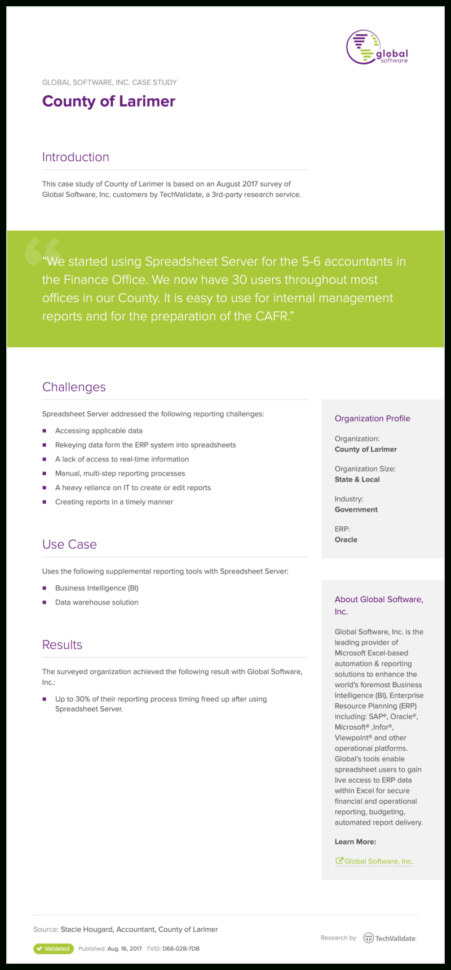 Global Spreadsheet Server Pertaining To Case Studies  Global Software Inc