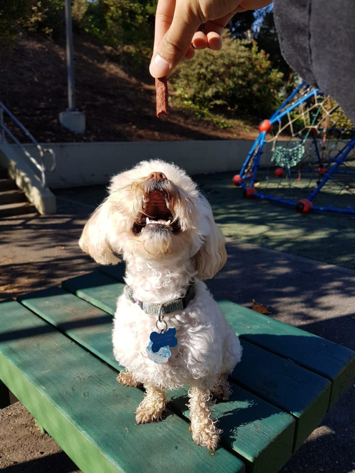 Hitrust Csf Spreadsheet For Mandy Chwee, Mba, Hitrust Csf  Senior Advisory Consultant