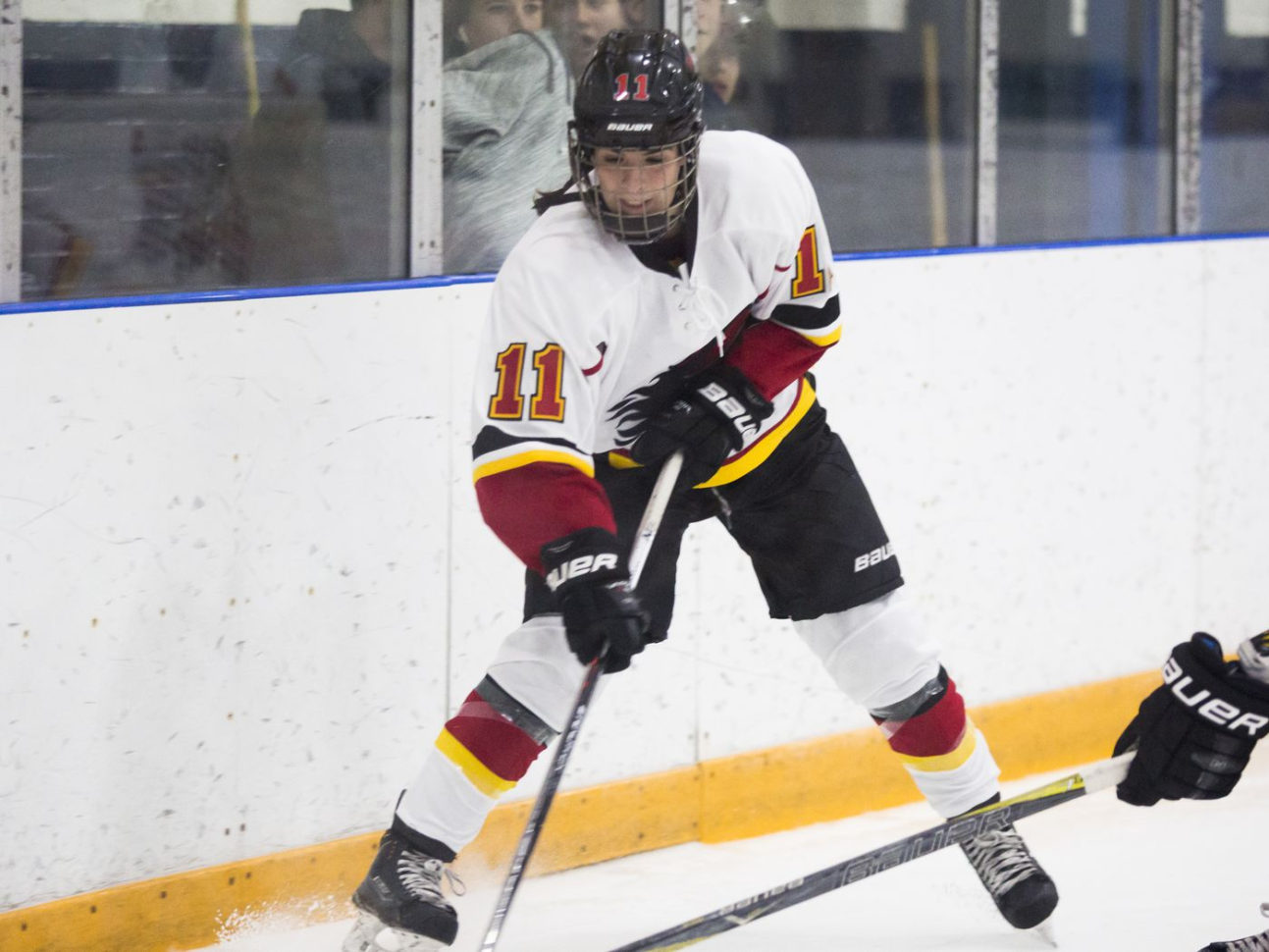 Hockey Team Treasurer Spreadsheet For Qa With The Recently Retired Jacquie Pierri  The Ice Garden