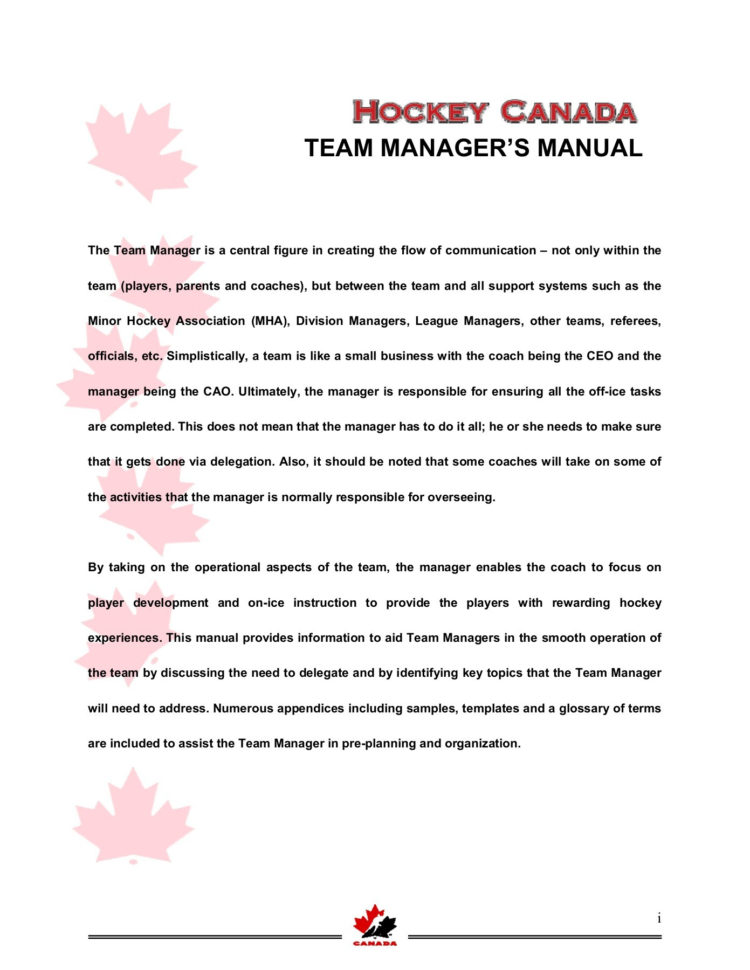 Hockey Team Treasurer Spreadsheet In Hockey Team Manager Manual  Ramp Interactive Pages 1  42  Text