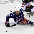 Hockey Team Treasurer Spreadsheet Inside U.s. Sled Team Members Balance School With Hockey