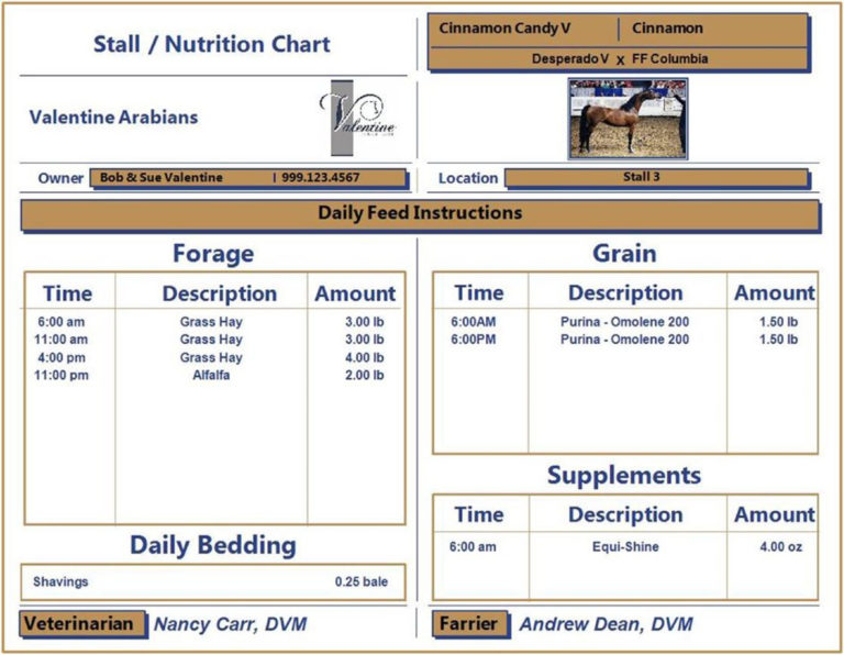 Horse Boarding Spreadsheet intended for Blog Equine Genie Horse