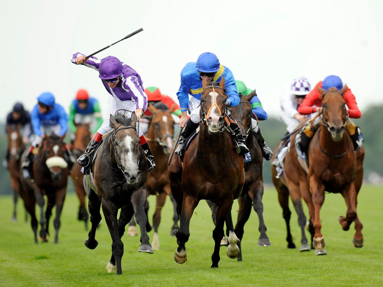 Horse Racing Analyser Spreadsheet Regarding Free Sports Betting Spreadsheet For Horse Racing