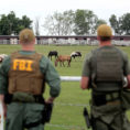 Horse Racing Experts Calculation Spreadsheet Throughout The Rookie And The Zetas: How The Feds Took Down A Drug Cartel's
