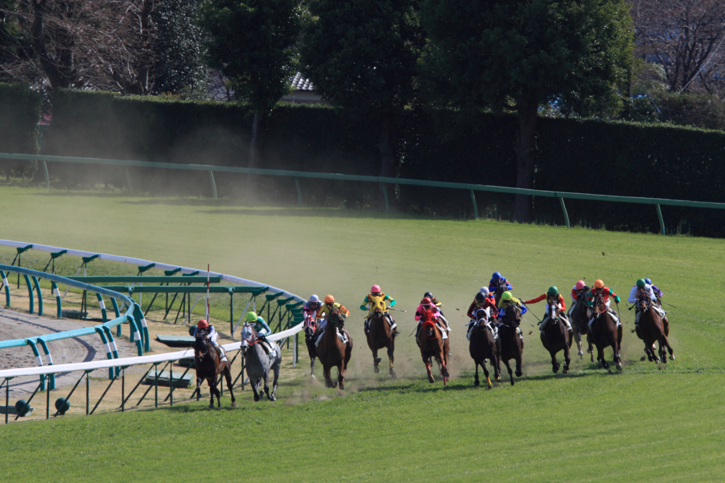 Horse Racing Form Spreadsheet With Regard To Deep Learning And Horse Race Prediction #1 – Ko – Medium