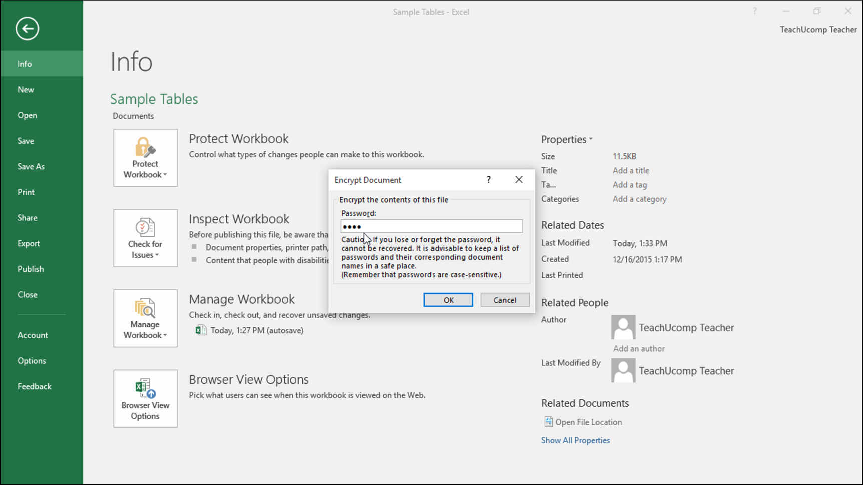 How Do You Password Protect An Excel Spreadsheet in Apply Password