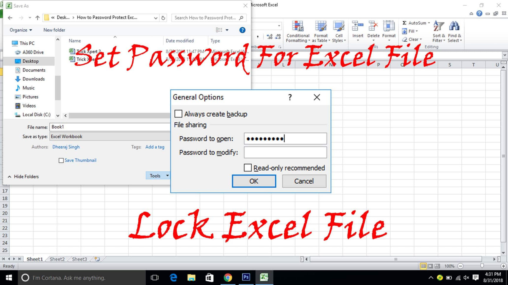 Password Protecting An Excel Worksheet