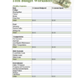 How To Organize Your Finances Spreadsheet Throughout Budgets For Dummies Worksheets Spreadsheet Template