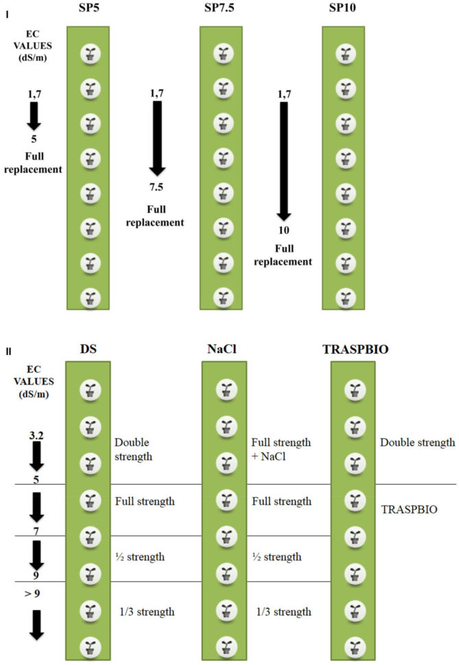 Hydroponic Nutrient Calculator Spreadsheet Throughout Frontiers  A Targeted Management Of The Nutrient Solution In A