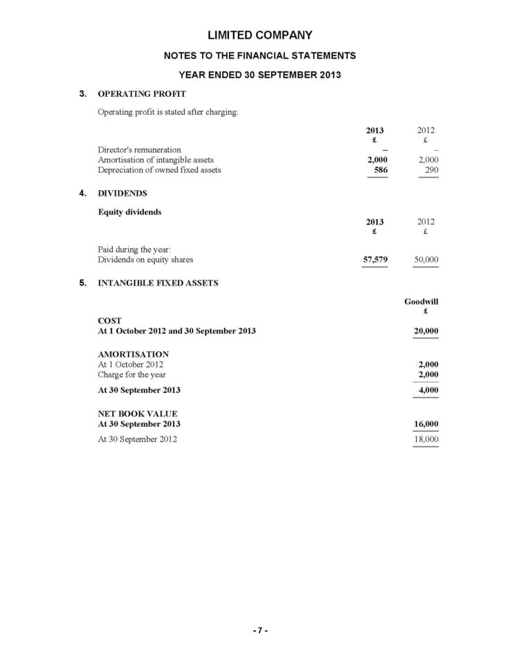 Limited Company Accounts Spreadsheet Regarding Product Detail Limited Company Accounts Spreadsheet Regarding Product Detail