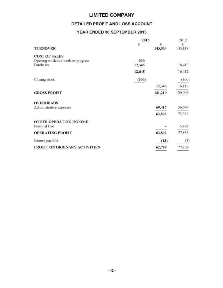 Limited Company Accounts Spreadsheet Within Product Detail