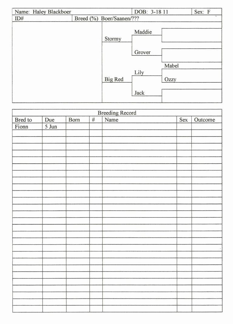 Livestock Inventory Spreadsheet within Farm Bookkeeping Spreadsheet ...