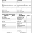 Llc Capital Account Spreadsheet Throughout 004 Free Financial Statement Template Ideas Blank Business Form