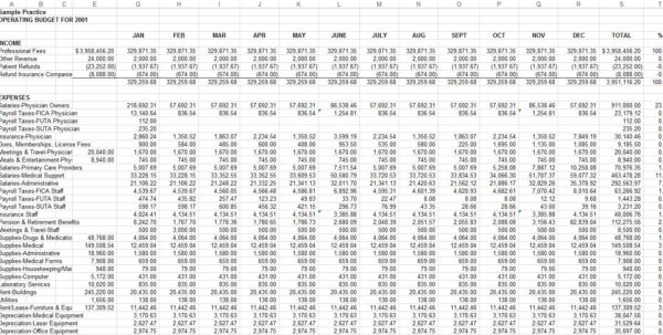 Medical Practice Budget Spreadsheet Google Spreadshee medical practice ...